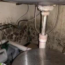 Mold under sink  home damage chatham nj 1